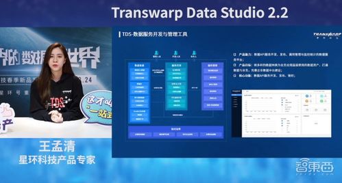 星环科技基础软件全面升级 关系型分布式数据库性能翻倍